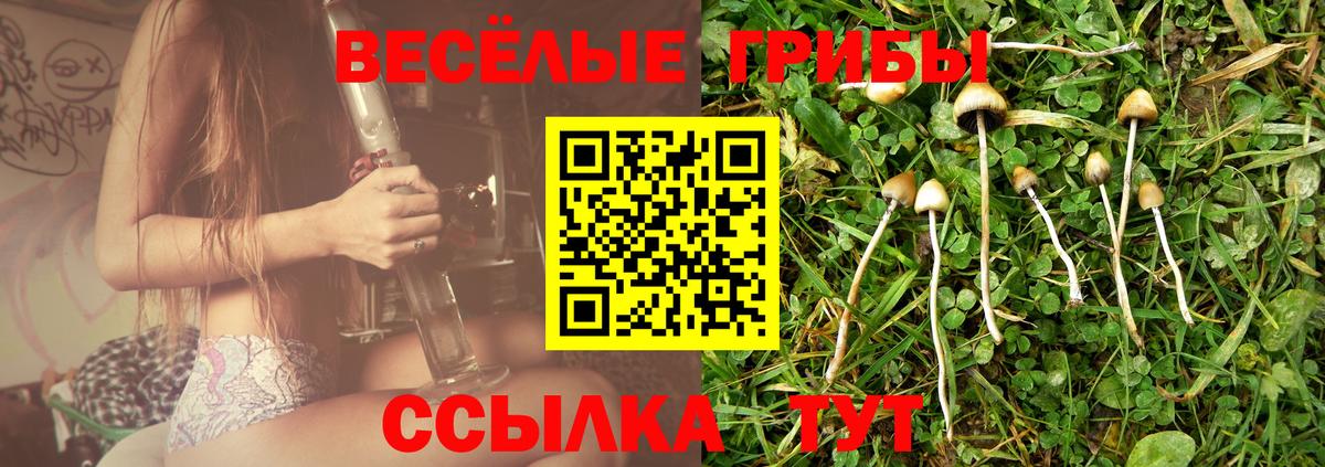Псилоцибиновые грибы Cubensis Сухой Лог